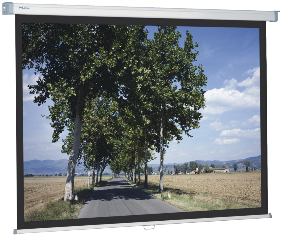 Ecran proiectie Projecta SlimScreen 16:9, panza MatteWhite