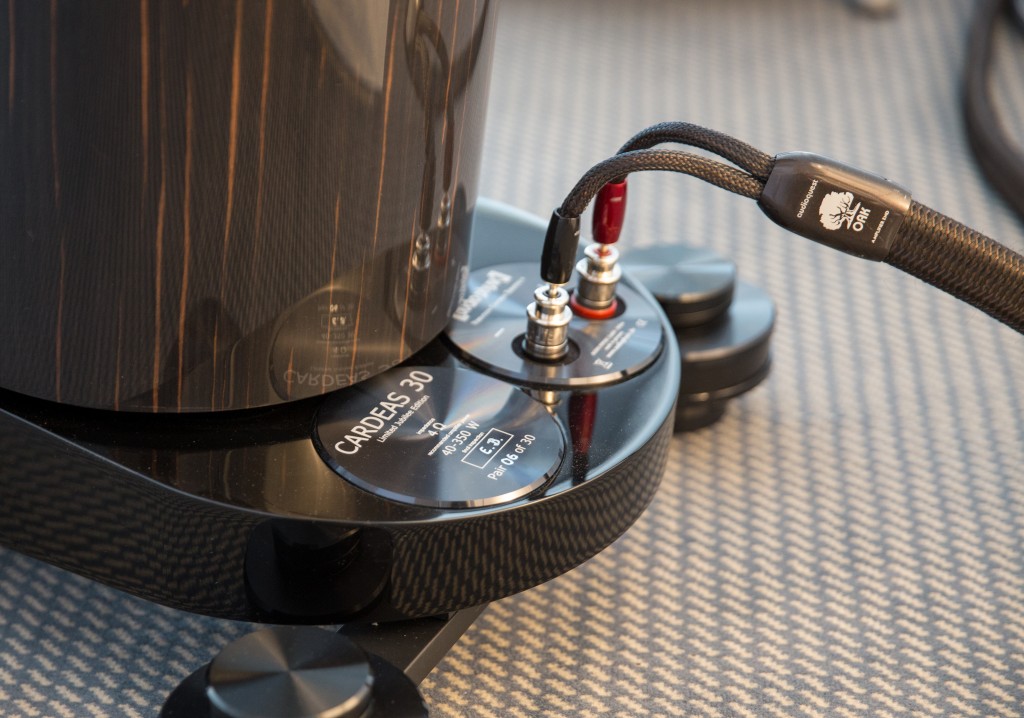 Audio Physic Cardeas 30